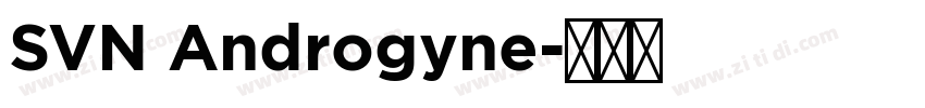 SVN Androgyne字体转换